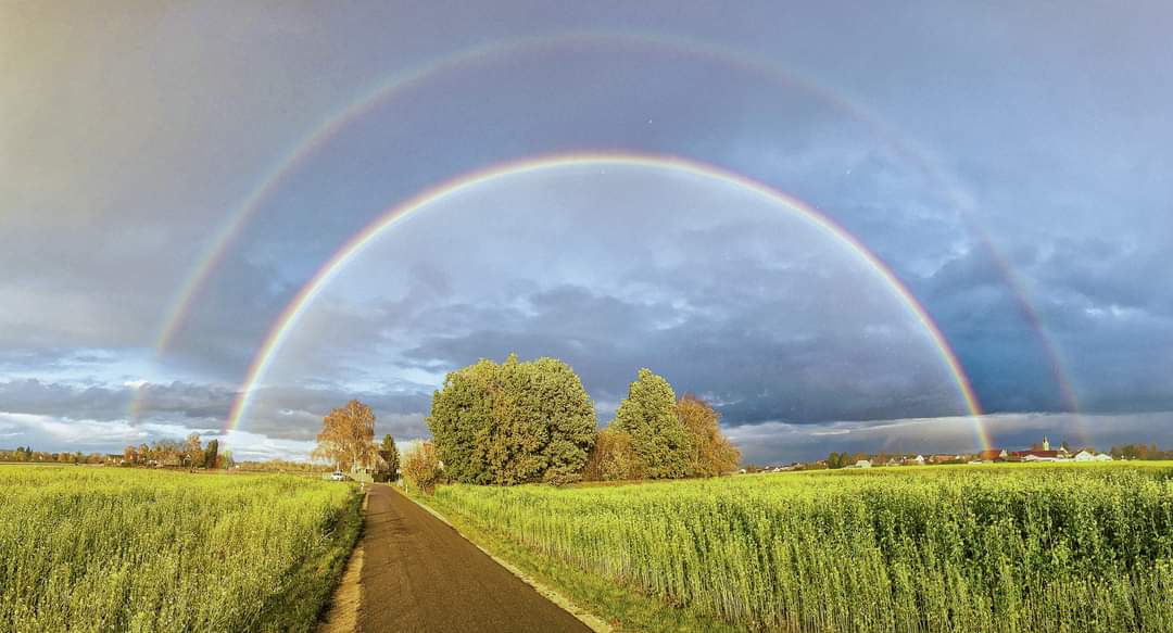 Regenbogen