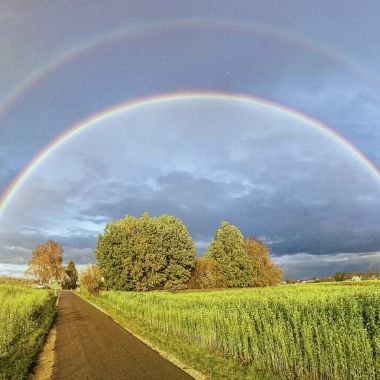 Regenbogen